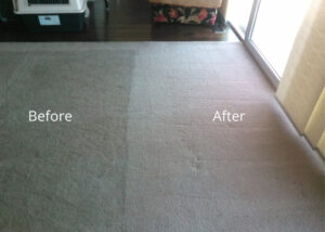 Carpet Cleaning Before & After